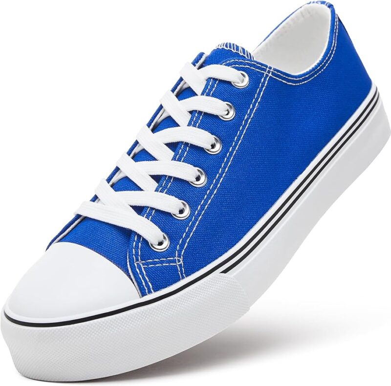 Low Top Canvas Sneakers for Men - Blue