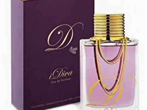 Other Brand Parfum 100 ml – Style 0468