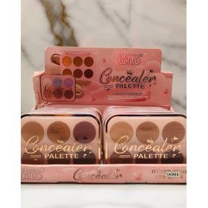 Ushas concealer palette with 6 shades of cream concealer