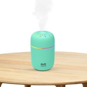 Humidifier Diffuser - Mini Ultrasonic Air Humidifier, Capacity, Nano Atomization for Bedrooms & Offices-Green