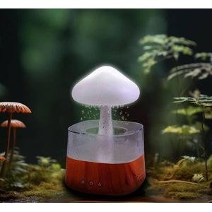 Diffuser – Humidifier,