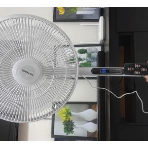 Doraling stand fun with remote