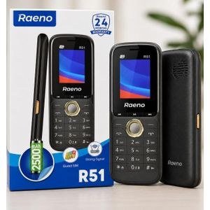 Raeno R51 Mini Wireless Bluetooth FM Radio Speaker with LED Torch, Long Battery Life & Memory Card Support