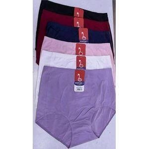 6-Pack Women's Seamless Panties Everyday Underwear – Focused Everyday Wardrobe Basics for Daily Wear
